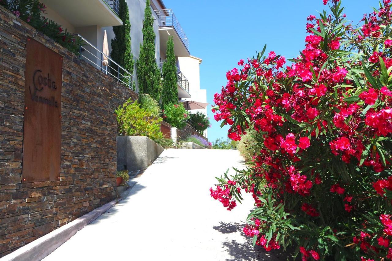 Residence Costa Vermella, Vue Mer Et Montagne Au Calme Cerbère Dış mekan fotoğraf